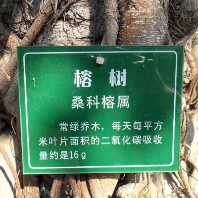 厂家供应绿化园林古树木挂牌 植物绿化标识二维码创意铝质树